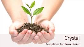  Presentation with new beginnings - Colorful presentation enhanced with new beginnings - person holding a small plant backdrop and a lemonade colored foreground