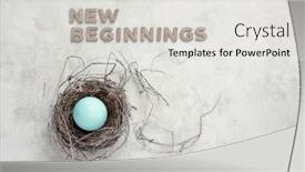  Presentation with new beginnings - Presentation featuring new-beginnings-blue-egg background and a light gray colored foreground