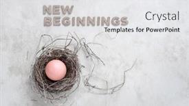  Presentation with beginnings - Slide deck featuring new-beginnings-egg-in-natural background and a white colored foreground