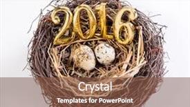  Presentation with new born - PPT layouts enhanced with new born 2016 on nest background and a tawny brown colored foreground