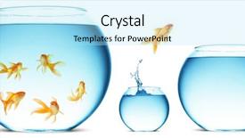  Presentation with goldfish jumping out - Slide set featuring new challenge - goldfish jumping background and a arctic colored foreground