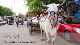  Presentation with new delhi - 