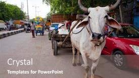  Presentation with new delhi - 