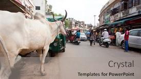  Presentation with new delhi - 