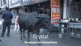  Presentation with new delhi - 