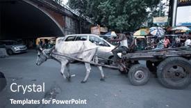  Presentation with new delhi - 