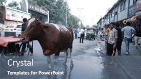  Presentation with new delhi - 