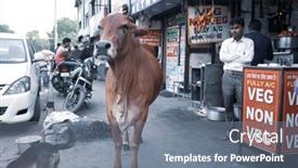  Presentation with new delhi - 