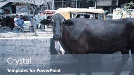  Presentation with new delhi - 