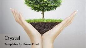  Presentation with tree planting - Presentation design with new development - small tree plant background and a soft green colored foreground