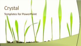  Presentation with plants - Colorful PPT theme enhanced with no smoking sign and seat belt sign on the airplane backdrop and a gray colored foreground