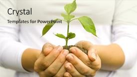  Presentation with plant growth - Colorful theme enhanced with agriculture growth - one plant in female hands backdrop and a  colored foreground