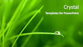  Presentation with sparkle - Amazing presentation theme having  backdrop and a  colored foreground