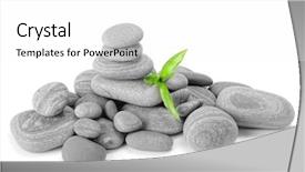  Presentation with fall leaves border white - PPT layouts enhanced with  background and a  colored foreground