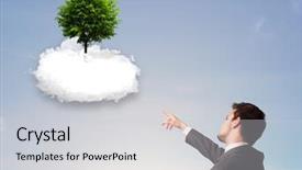  Presentation with green tree - Audience pleasing presentation design consisting of new heaven new earth - young man pointing backdrop and a  colored foreground