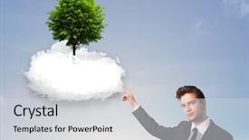  Presentation with green tree - Colorful presentation theme enhanced with new heaven new earth - young man pointing backdrop and a  colored foreground