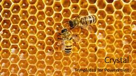  Presentation with working - Slide deck enhanced with new honeycomb - close up view background and a gold colored foreground