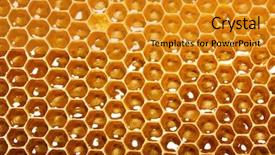  Presentation with honey - Slide set featuring new honeycomb - fresh honey in comb background and a gold colored foreground