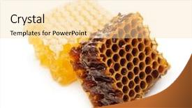  Presentation with honey whiskey - Slide deck with new honeycomb - slice honey comb on white background and a  colored foreground