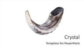  Presentation with jewish - Cool new PPT layouts with new jerusalem - jewish small horn shofar isolated backdrop and a white colored foreground