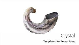  Presentation with jewish - Presentation theme featuring new jerusalem - jewish small horn shofar isolated background and a white colored foreground