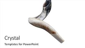 Presentation with jewish - Amazing slides having new jerusalem - jewish small horn shofar isolated backdrop and a white colored foreground