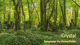  Presentation with poland - Presentation having new jewish cemetery in lodz background and a tawny brown colored foreground