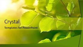  Presentation with chemistry leaves green leaf - Amazing slides having new leaf - green leaves background shallow dof backdrop and a  colored foreground