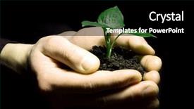  Presentation with black hands - Beautiful presentation theme featuring new life - hands holding sapling in soil backdrop and a black colored foreground