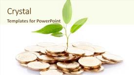  Presentation with investments - Cool new PPT layouts with new life - young sprout from a pile backdrop and a soft green colored foreground