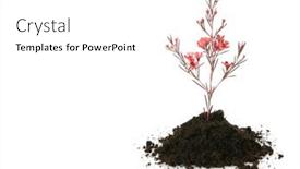  Presentation with growth - Audience pleasing presentation theme consisting of new-life-growth-concept backdrop and a  colored foreground