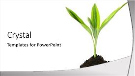  Presentation with new beginnings - Beautiful presentation theme featuring new life growth concept backdrop and a white colored foreground