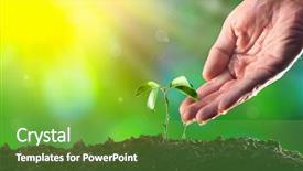  Presentation with life saving - Audience pleasing presentation consisting of new life growth ecology money backdrop and a seafoam green colored foreground