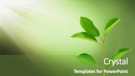  Presentation with life - Theme consisting of new life background and a seafoam green colored foreground