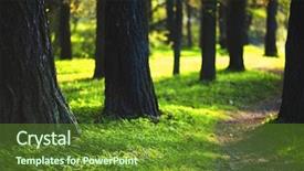  Presentation with nature - Slide set with new old - spring park nature background background and a tawny brown colored foreground