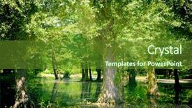  Presentation with swamp - Beautiful PPT layouts featuring new orleans - swamp backdrop and a tawny brown colored foreground