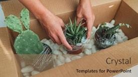  Presentation with online shopping - Colorful presentation design enhanced with new-plants-delivery-woman-opening backdrop and a coral colored foreground