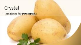  Presentation with potato - Slide set consisting of new potato and green parsley background and a blonde colored foreground