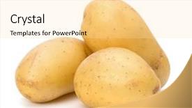  Presentation with ripe golden potato on white - Presentation with new potato isolated on white background and a blonde colored foreground
