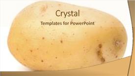  Presentation with ripe golden potato on white - Audience pleasing presentation design consisting of new potato isolated on white backdrop and a cream colored foreground