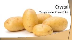  Presentation with ripe golden potato on white - Slide deck having new potato isolated on white background and a white colored foreground