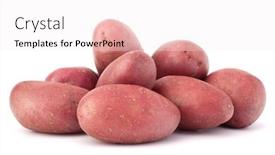  Presentation with potato - Audience pleasing PPT layouts consisting of new-potato-tuber-heap-isolated backdrop and a sky blue colored foreground