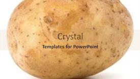  Presentation with potato - PPT theme enhanced with new-potato-tuber-isolated background and a yellow colored foreground