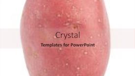  Presentation with potato - Cool new PPT theme with new-potato-tuber-isolated backdrop and a coral colored foreground