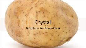  Presentation with potato - Slide set with new potato tuber isolated background and a yellow colored foreground