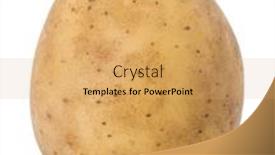  Presentation with potato - PPT layouts with new-potato-tuber-isolated background and a yellow colored foreground