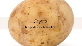  Presentation with potato - PPT layouts having new-potato-tuber-isolated background and a yellow colored foreground