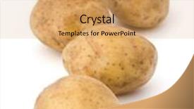  Presentation with potato - Colorful slide set enhanced with new-potato-tuber-isolated backdrop and a coral colored foreground