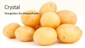  Presentation with potato - PPT theme with new potato tuber isolated background and a blonde colored foreground