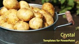  Presentation with metal - Theme having new potatoes in metal bucket background and a tawny brown colored foreground